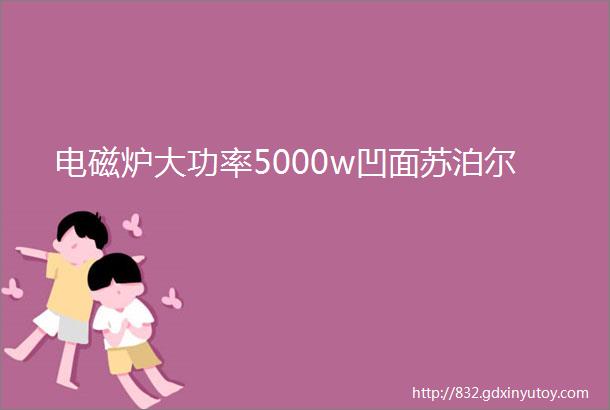 电磁炉大功率5000w凹面苏泊尔