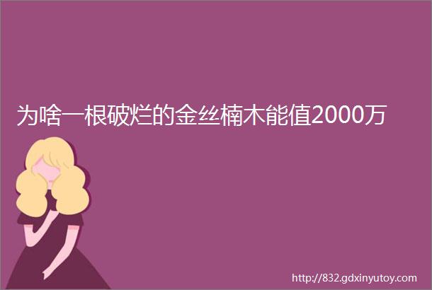 为啥一根破烂的金丝楠木能值2000万