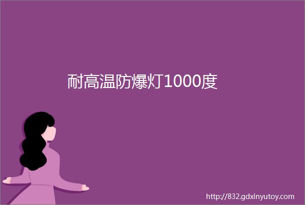 耐高温防爆灯1000度