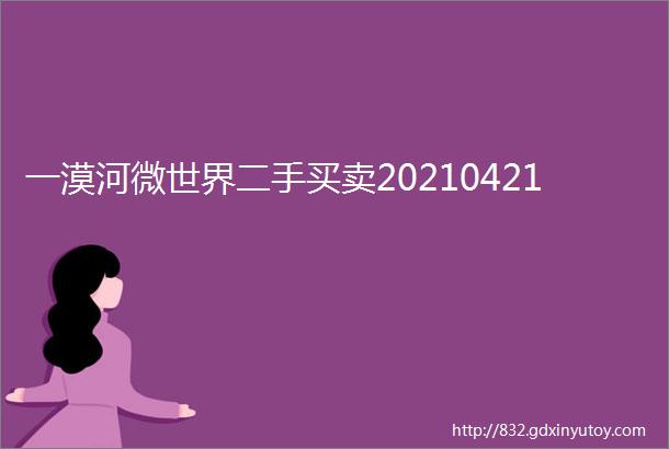 一漠河微世界二手买卖20210421