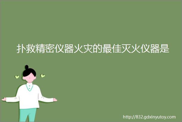 扑救精密仪器火灾的最佳灭火仪器是