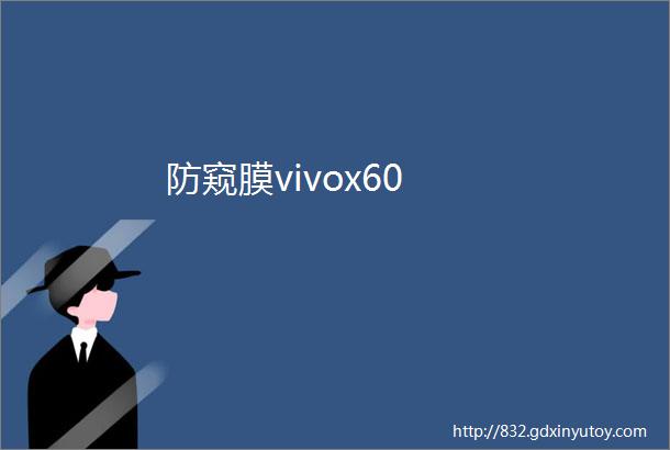 防窥膜vivox60