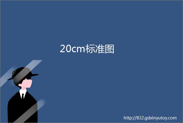 20cm标准图