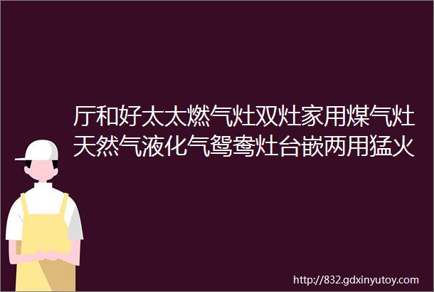 厅和好太太燃气灶双灶家用煤气灶天然气液化气鸳鸯灶台嵌两用猛火炉具猛火鸳鸯灶防风聚能钢化玻璃液化气